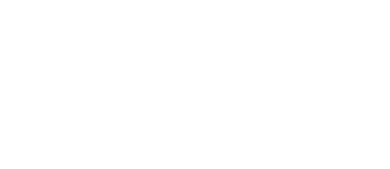 frumzi logo